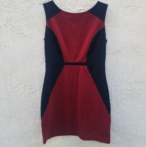 Nicole Block Colors Dress